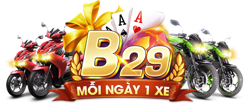 B29